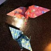 しろの画像