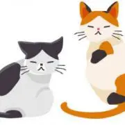 みけねこの画像