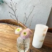 cherryの画像