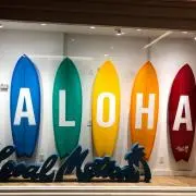 aoiの画像