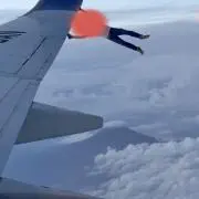 やんくんの画像