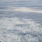 ぱーちゃんの画像