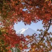 keepsmileの画像