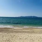 タルトの画像