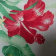 ますみんの画像