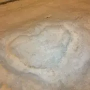 わんたんたんの画像