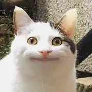 Miyaの画像