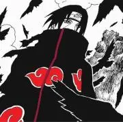 ブラックの画像