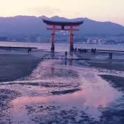 そよかぜ