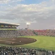 れあの画像