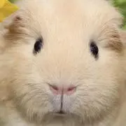 ^_^の画像