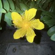 Image of ああああ