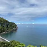 DoLの画像