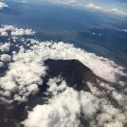 すぐ太郎の画像
