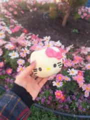 むむの画像