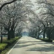 はなや