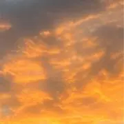 よんの画像