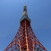 さとうの画像