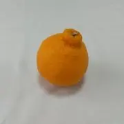TKG