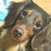Ｄママ ※おまとめ買いがお得※の画像
