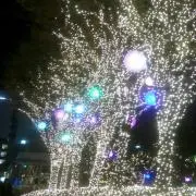 Meelo♬の画像