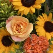 Flowersの画像