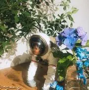すちゃにの画像