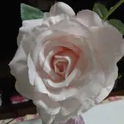 ふわわ✣ご入札ご購入よろしくお願いしますの画像