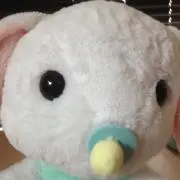 rei01270228の画像