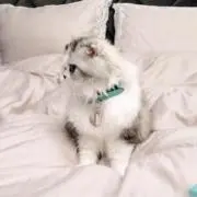 R♡の画像
