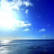 AJ357の画像