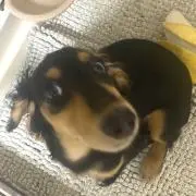 ⭐︎Rocky⭐︎の画像