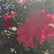 むに(プロフ必読)の画像