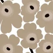 aaaの画像