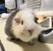★ジョルジュ★ プロフ読んで下さい♪