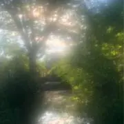 ゆまゆげの画像