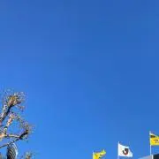 ssssa1125の画像