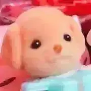 もも。お値下げ不可。まとめ買い歓迎。の画像