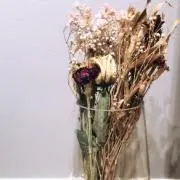 cの画像