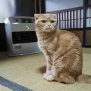 ばっきーの画像
