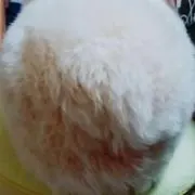 ムーたんの画像