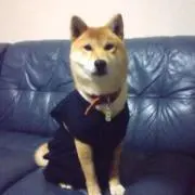 かずの画像