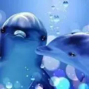あっちゃん