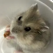 yama断捨離中の画像