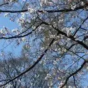 den ＊プロフご確認下さい＊の画像