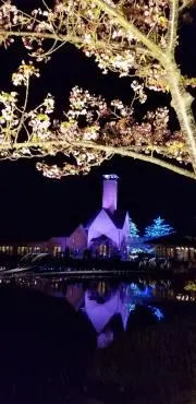 依瑠伽の画像