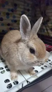 44maruの画像