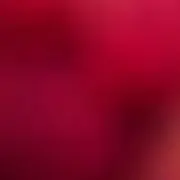 ぽんぽんダリア