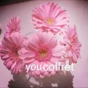 youcoffretの画像