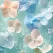 ぴょんぷーの画像